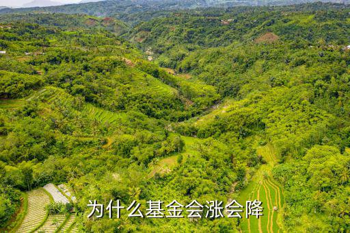 基金為什么會漲跌，基金有漲有落的原因