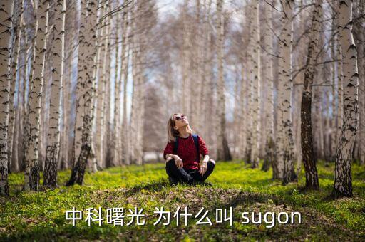 2014中科曙光什么時(shí)候上市的，股票為什么要選中科曙光