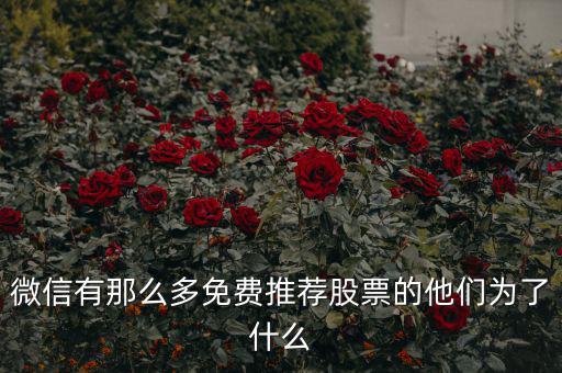 免費股票為什么，微信有那么多免費推薦股票的他們?yōu)榱耸裁?/></a></span><span id=