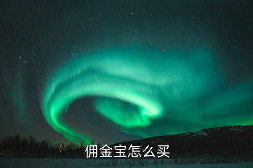  傭金寶怎么買(mǎi)