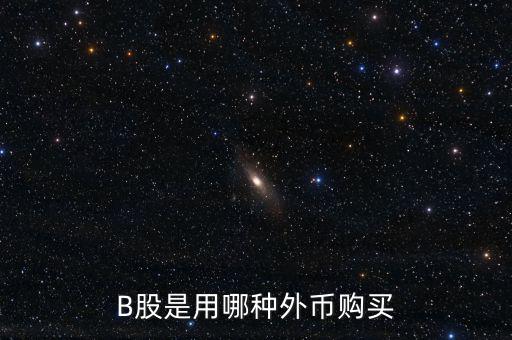 b股分紅支付什么貨幣，B股是用哪種外幣購買