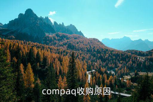 泰一指尚為什么被收購，compaq收購原因