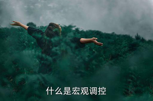 宏觀調(diào)控的定義是什么，怎么理解宏觀調(diào)控