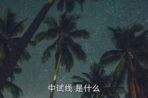 中試線是什么意思，中試線 是什么