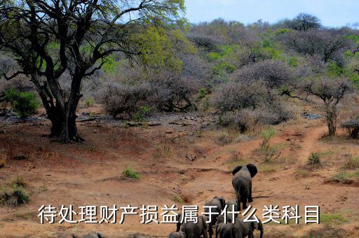 待財(cái)產(chǎn)處理?yè)p益是什么類科目，待處理財(cái)產(chǎn)損益屬于哪一類科目