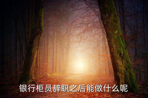 銀行辭職后做什么，銀行柜員辭職之后能做什么呢