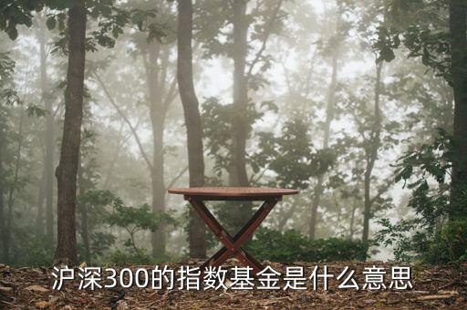基金滬深300什么，滬深300的指數(shù)基金是什么意思