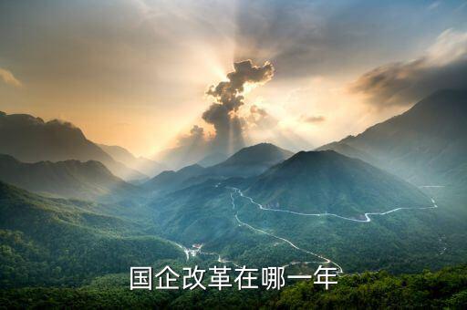 國企改革什么時候開盤，國有企業(yè)改革是什么時候