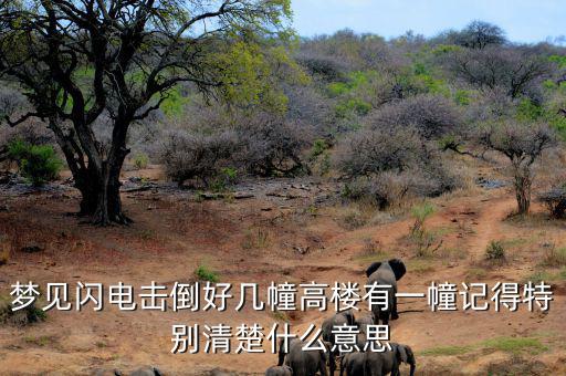 什么是閃電崩盤，a mini flash crash什么意思