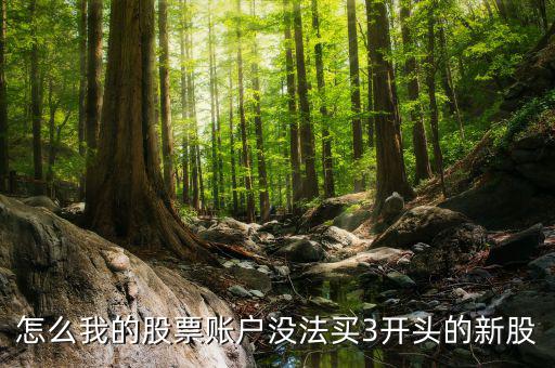 3開頭的股票為什么不能買，請問新開戶的股民為什么不能買3字開頭的股票
