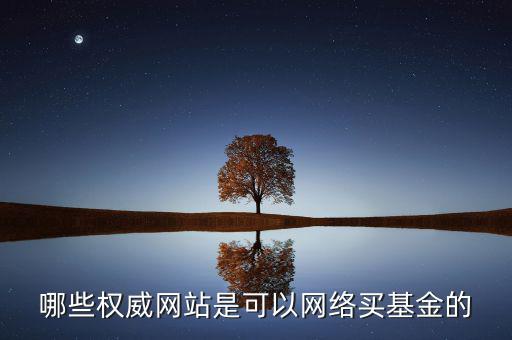 哪些權(quán)威網(wǎng)站是可以網(wǎng)絡(luò)買(mǎi)基金的
