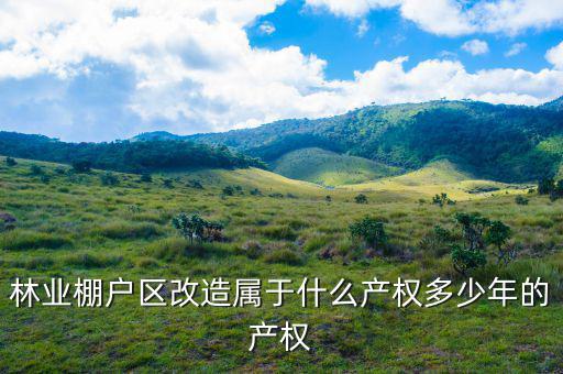 什么是林業(yè)棚戶區(qū)，請(qǐng)問蛟河林業(yè)棚戶區(qū)建造的樓房為什么收取物業(yè)費(fèi)會(huì)和取暖費(fèi)捆綁在一