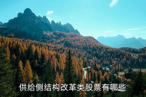 供給側(cè)最利好什么股票，供給側(cè)改革概念股有哪些