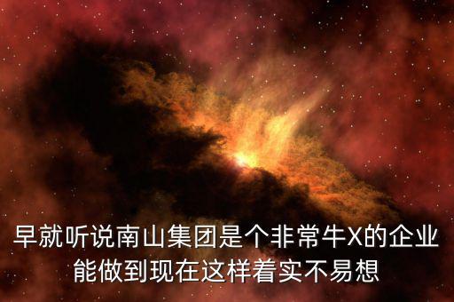 南山集團(tuán)對(duì)南山村的作用有什么，南山村的介紹