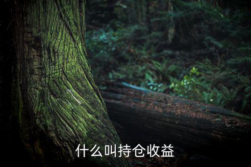 理財(cái)里的持倉收益是什么意思，基金 持倉收益7579 是什么意思啊 本人是新手