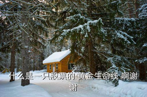 什么是股市生命線，什么是一只股票的 黃金生命線 啊謝謝