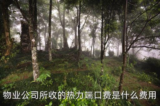 什么是端口費(fèi)，現(xiàn)在電信包月網(wǎng)線得多少錢(qián)還有那端口費(fèi)是什么意思