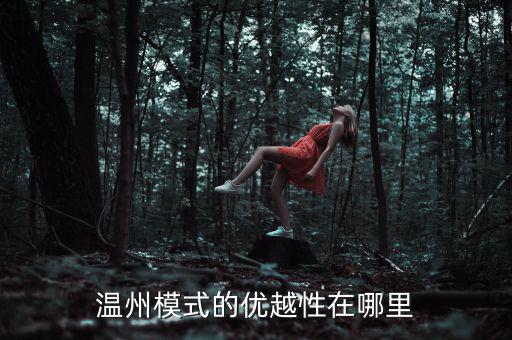 溫州模式為什么具有很強的經濟性，溫州模式取得成功的原因6分題