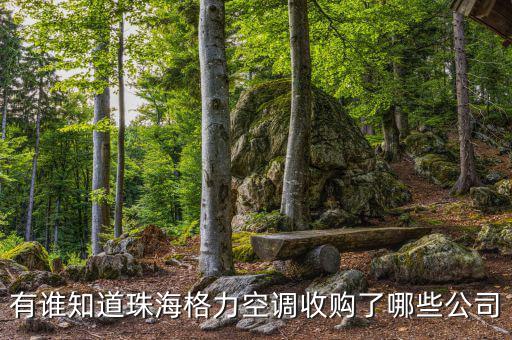 格力收購什么，有誰知道珠海格力空調(diào)收購了哪些公司