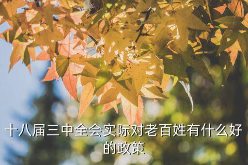 十八屆三中以來對此出臺了什么文件，剛剛閉幕的十八屆三中全會發(fā)布的公告其核心內(nèi)容是什么