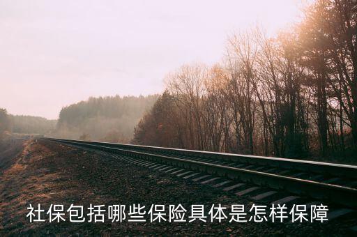 社保有什么保障，社保究竟保些什么
