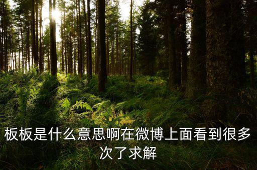 要板了是什么意思，板板是什么意思啊在微博上面看到很多次了求解