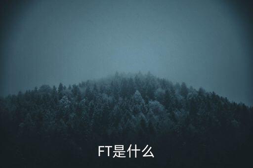 什么是FT調(diào)查，F(xiàn)T是什么