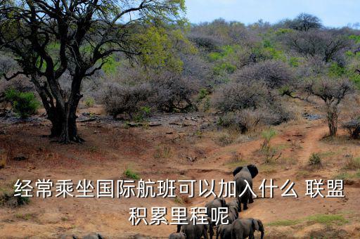 星空聯(lián)盟積分怎么算,南航、東航可通過明珠卡共享積分等