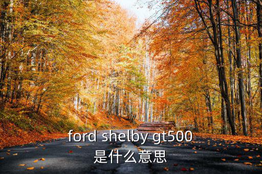 東盟油500是什么，ford shelby gt500是什么意思