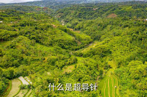 射頻超導(dǎo)腔是什么，什么是超導(dǎo)針