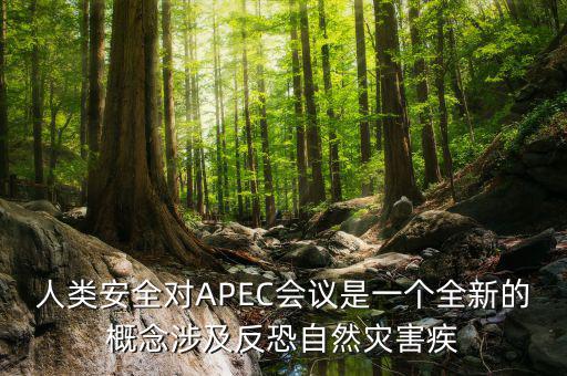 2014apec峰會簽署了什么文件，亞洲和太平洋地區(qū)經(jīng)濟(jì)合作會議簡稱 APEC
