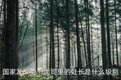 央企處長是什么級別，央企比如移動 電信 聯(lián)通 中石油石化 這些企業(yè)縣的老總是什么級別