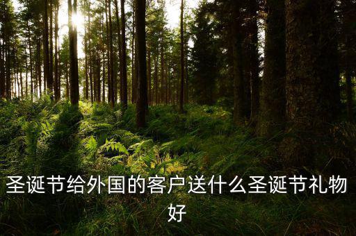 中國(guó)出口什么圣誕節(jié)禮物，在中國(guó)過圣誕節(jié)一般送什么禮物