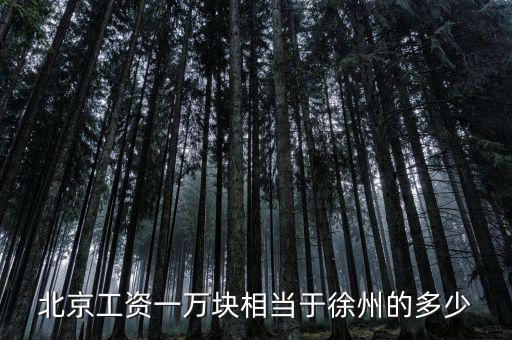 北京月薪1萬(wàn)什么概念，在北京月薪1萬(wàn)算高嗎