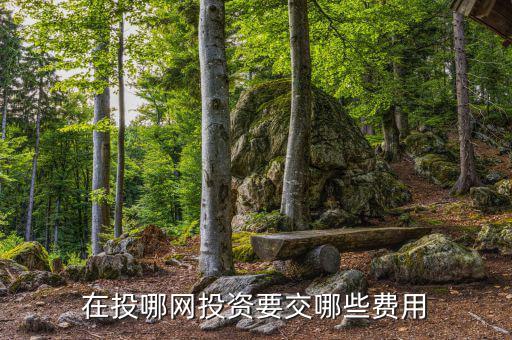 投哪網(wǎng)管理費什么時候收取，投哪網(wǎng)收手續(xù)費嗎