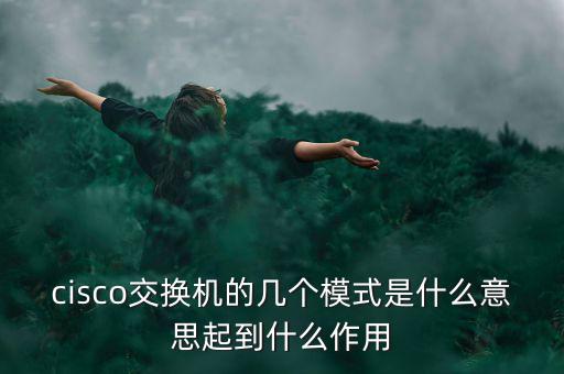 tmt究竟是什么模式，請問TMT是什么意思