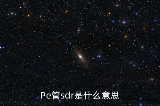 sdr是什么意思，sdr范丞丞wzr什么意思