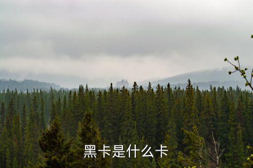 銀行卡黑卡是什么級(jí)別，黑卡是什么卡