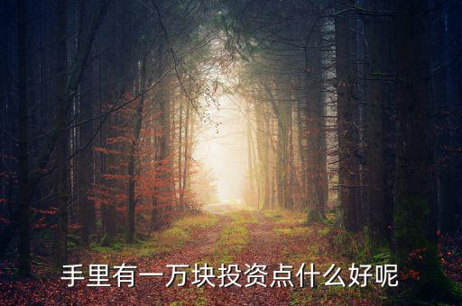 一萬元做什么投資，1萬元創(chuàng)業(yè)投資干什么好