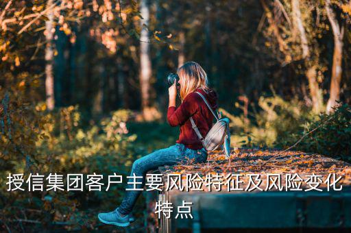 授信集團(tuán)客戶主要風(fēng)險特征及風(fēng)險變化特點(diǎn)