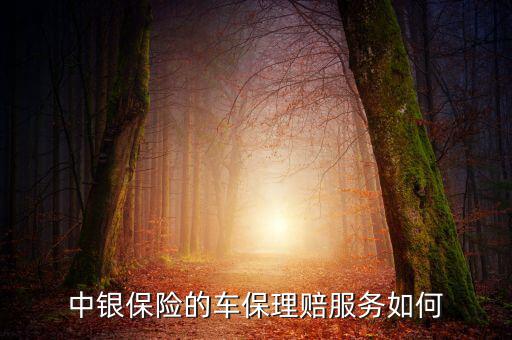 中銀保險車險vip客戶有什么權利，中銀保險的車保理賠服務如何