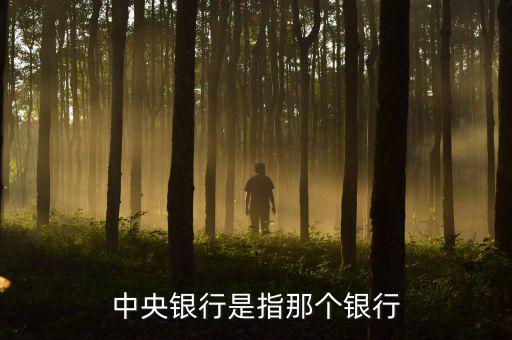 央行是指什么行，中央銀行是指那個(gè)銀行