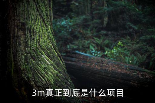 3m靠什么盈利，fifa online 3m玩家怎么賺錢