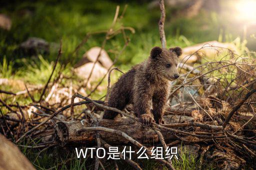 ypg是什么組織，橘子是由哪些組織構(gòu)成的