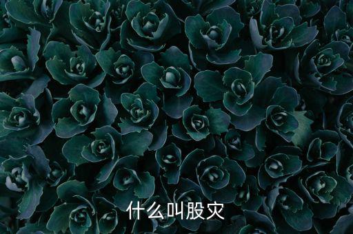 股災(zāi)逃脫人叫什么，做了壞事倉皇而逃的人叫什么