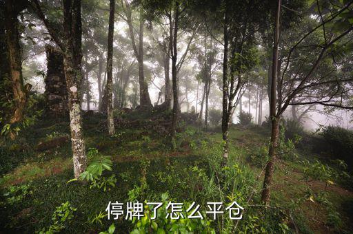 股票黑名單什么意思，股票配售黑名單是什么意思