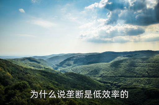 壟斷的無(wú)效率是什么，為什么說(shuō)壟斷會(huì)導(dǎo)致低效率