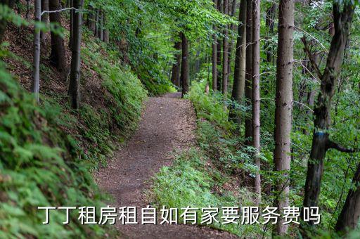 丁丁租房都收取什么費(fèi)用，丁丁租琴的費(fèi)用怎么算