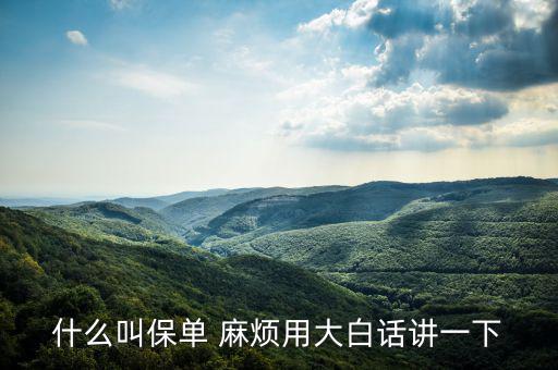 什么是保單，什么是保單
