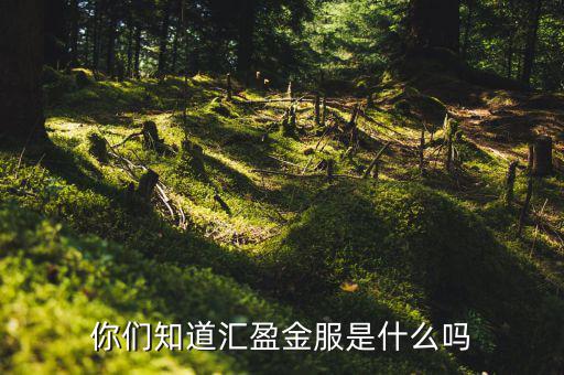 存匯盈是什么，存兌匯票是什么東東具體含義一定要說(shuō)的詳細(xì)點(diǎn)啊
